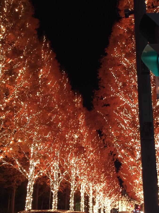 ホテル サクラ スイート 京都市 エクステリア 写真